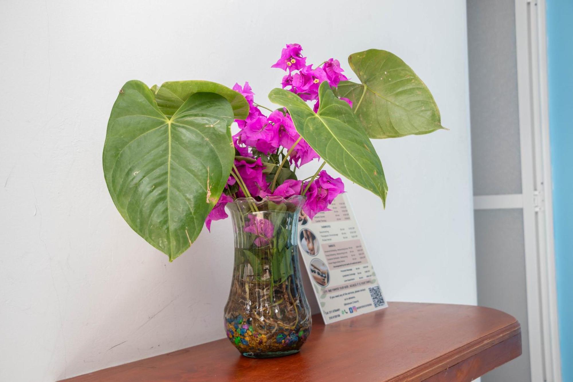 Hotel Manakin Tayrona El Zaino Extérieur photo